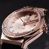 Đồng Hồ Nữ Carnival 8168L2 Dây Cao Su Đen Mặt Vàng Hồng Đính Đá Rose Size 34mm Quartz 8168L2-VH-DCS-NN