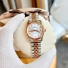 Đồng Hồ Nữ Carnival 8250L-CH-T Demi Vàng Hồng Mặt Trắng Size 30mm Quartz Japan