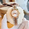 Đồng Hồ Nữ Carnival 8250L-CH-T Demi Vàng Hồng Mặt Trắng Size 30mm Quartz Japan