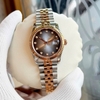 Đồng Hồ Nữ Carnival 8250L-CH-TX Demi Vàng Hồng Mặt Ombre Xám Đen Size 30mm Quartz Japan