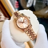 Đồng Hồ Nữ Carnival 8250L-VH-NN Màu Vàng Hồng Size 30mm Quartz Japan