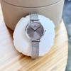 Đồng Hồ Nữ Carnival 8253L-VT-TX Dây Mesh Bạc Mặt Xám Grey Size 30mm Mỏng Nhỏ Xinh