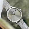 Đồng Hồ Nữ Carnival 8253L-VT-TX Dây Mesh Bạc Mặt Xám Grey Size 30mm Mỏng Nhỏ Xinh