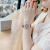 Đồng Hồ Nữ Rivero R9006 Dây Da Đỏ Vỏ Rose Gold 32mm Chính Hãng