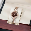 Đồng Hồ Nữ Roberto Era Dây Thép Demi Rose Mặt Nâu Chocolate Niềng Khía Size 28mm RE1200