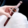 Set Đồng Hồ Nữ Roberto Era Chính Hãng Dây Da Nâu Viền Đá Rose Size 33mm RE1800 Tặng Kèm Dây Chuyền