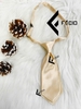 Cà vạt nữ Facio Shop phi bóng trơn thắt sẵn đầu nhọn C25