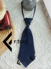 Cà vạt nữ Facio Shop phi bóng trơn thắt sẵn đầu nhọn C25