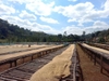 ETHIOPIA KONGA NATURAL G1