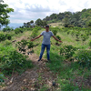 COLOMBIA SYDRA FINCA EL DIVISO HUILA ANAEROBIC NATURAL