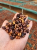 ROBUSTA 87,5 NATURAL INTRA-FRUIT FERMENTATION