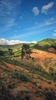 ROBUSTA 87,5 NATURAL INTRA-FRUIT FERMENTATION