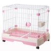 Chuồng chó cao cấp D65 40*65m
