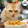 Pate tươi Kim Pet - Pate dinh dưỡng dành cho chó/mèo