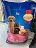 Thức ăn hạt Smartheart Puppy vị Bò & sữa cho Chó con dưới 12 tháng tuổi