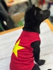 Áo lá cờ Việt Nam