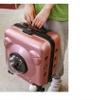 Vali kéo du lịch dành cho Thú cưng hình vuông mặt gấu 40*21*45cm