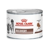 Pate/ Thức ăn ướt dành cho Chó Mèo phục hồi sức khỏe  Royal Canin Recovery lon 195g
