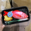 Spet Đồ chơi nhồi bông ngộ nghĩnh