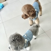 Spet Yếm vải bò kèm dây dắt - S