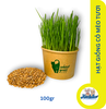 Hạt giống cỏ lúa mì, cỏ mèo tươi để trồng - Gói 100gr