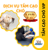 Dịch vụ VIP spa, grooming, tắm, vệ sinh, cắt tỉa, cạo lông cho chó