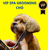 Dịch vụ VIP spa, grooming, tắm, vệ sinh, cắt tỉa, cạo lông cho chó