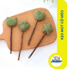Que cỏ mèo cho mèo - 15gr