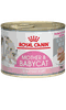 Pate dành cho Mèo mẹ và Mèo con Royal Canin Mother & Babycat Lon 195g