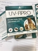 Nhỏ gáy trị ve UV-Fipro trên 10kg (hộp 4 tuýp)