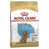 Thức ăn cho chó con Royal Canin Poodle Puppy từ 2-10 tháng tuổi - 500gr/1.5kg