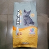 Minino Yum Plus Kitten