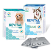 Viên uống Revital cắt đứt cơn ngứa và viêm da dị ứng cho chó
