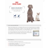 Pate/ Thức ăn ướt dành cho Chó Mèo phục hồi sức khỏe  Royal Canin Recovery lon 195g