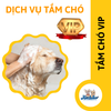 Dịch vụ VIP spa, grooming, tắm, vệ sinh, cắt tỉa, cạo lông cho chó