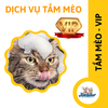 Dịch vụ VIP spa, grooming, tắm, vệ sinh, cắt tỉa, cạo lông cho Mèo