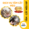 Dịch vụ VIP spa, grooming, tắm, vệ sinh, cắt tỉa, cạo lông cho Mèo