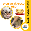 Dịch vụ VIP spa, grooming, tắm, vệ sinh, cắt tỉa, cạo lông cho Mèo
