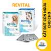 Viên uống Revital cắt đứt cơn ngứa và viêm da dị ứng cho chó