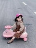xe-lac-khung-long-honper-hp814