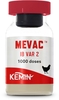 mevac-ib-var-2