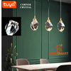 Đèn chùm pha lê gắn thanh ray - Magnetic Track Crystal Light Series