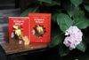 Bé Ngựa ơi, đừng sợ! [Chuột Đất Books]