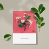 Postcard - Hoa bưởi