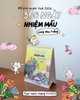 Lịch Mèo Trắng 2026
