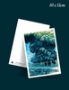 Tùng Lâm - Postcard 7 - Đường Hoàng Hoa Thám - A6