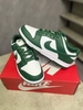 Giày Nike Dunk Low ‘Michigan State’ DD1391-101