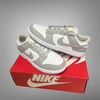 Giày Nike Dunk Low "Retro Grey Fog" DD1391-103