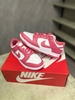 Giày Nike Dunk Low 'Archeo Pink' DD1503-111