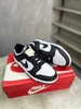 Giày Nike Dunk Low Retro ‘Panda’ White Black DD1391-100